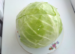 Вы капусту по 90 рублей за килограмм из Европы, что ли, везете? - камышанка