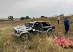 На сельской дороге женщина "ни с того, ни с сего" погибла в смятой иномарке в Волгоградской области