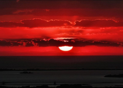 В Камышине 42-летний мужчина спьяну упал на обогреватель и сгорел заживо