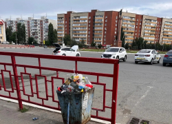 Урны Камышина забиты через край, сколько нам еще ждать вывоза мусора?