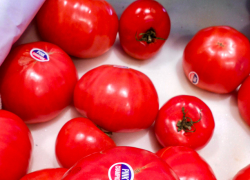 Овощи, а особенно помидоры, становятся "золотыми" для камышан по весне