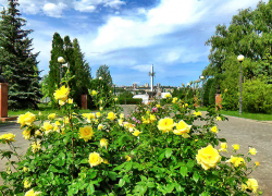 Интерактивная карта бесплатных точек Wi-Fi создана в Волгоградской области