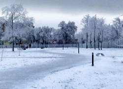 Последний день 2024 года пройдет в Камышине при нулевой температуре и изморози 