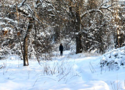 Экстренное предупреждение из-за волны арктического холода объявлено в Волгоградской области