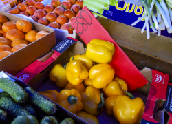 В Камышине свежие огурцы поднялись в цене до 250 рублей