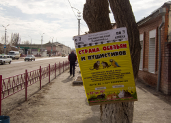 Что за "обезьяны" рекламируют на деревьях в Камышине привоз несчастных обезьян? - камышанка