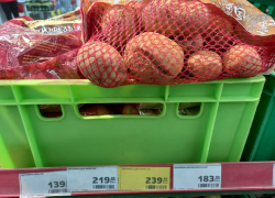 В сетевиках Волгоградской области появился картофель по 110 рублей за килограмм
