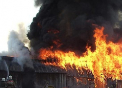  В Камышинском районе загорелось пять деревянных построек