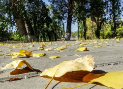 В Камышине после жары резко повеяло поздней осенью