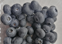 В камышинских магазинах появилась голубика из Перу по 2000 рублей