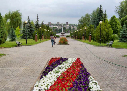 В Камышине хулиган-велосипедист проехал поперек клумбы в парке Победы, изуродовав цветник