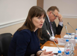 Бывший вице-мэр Камышина Ирина Пешкова передаст в концессию школьные столовые Волгограда, - "Блокнот Волгограда"