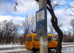 После реплик "Блокнота Камышина" автобусную остановку все-таки очистили от сухой ветки на аншлаге