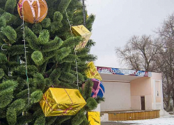 В Камышине появилась первая наряженная новогодняя елка