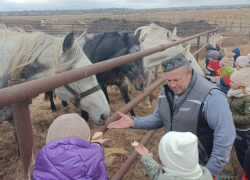 Как городские школьники из Камышина съездили в гости к фермеру