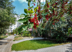 В двадцати домах отключат свет сегодня, 14 августа, камышинские коммунальщики