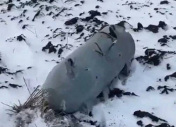 В полях под райцентром Елань в Волгоградской области, в 230-ти километрах от Камышина, упало что-то похожее не то на беспилотник, не то на ракету
