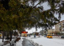Около нуля, туманно и облачно: погода в Камышине на Рождество
