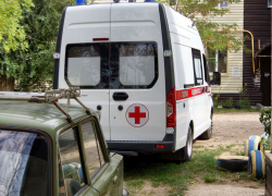 Камышан зовут прививаться, пока не поздно