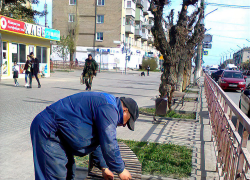 В Камышине вовремя решили починить самые востребованные скамьи в центре города, на улице Ленина