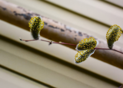 Южный ветерок гарантирует отличную погоду в Камышине сегодня, 3 апреля