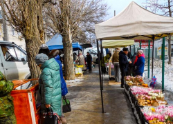 Плюс один и яркое солнце: погода в Камышине 8 Марта