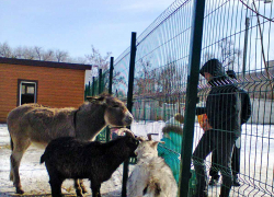 Синоптики обещают камышанам устойчивый "плюс" в воскресенье и всю неделю