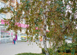 В выходные в Камышине похолодает из-за западного ветра