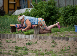 Пожилая дачница скончалась у грядок и надолго осталась лежать под солнцем...