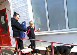 "Хоть бы кого-нибудь из чиновников покусали бродячие собаки, прости господи!" - камышанка