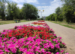 +33 и яркое солнце: жара никуда не уходит из Камышина 10 июля