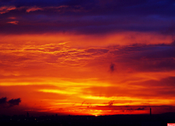 "Сидячий" труп: камышанина не убили, он погиб от алкогольного приступа