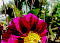 В Камышине на выходные установится погода из категории "лучше не бывает!"