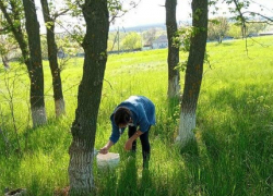 Камышинские водолазы ищут тело девочки, утонувшей в пруду под Рудней