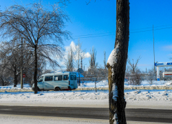 В Камышине утратили силу постановления Станислава Зинченко о "прикреплении" детей к школам и детсадам и о бесплатном проезде для школьников