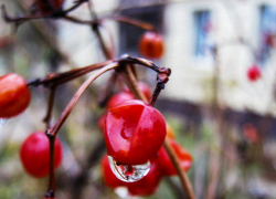 "Дождинки" и "снежинки" появились в прогнозе для Камышина на ближайшие дни