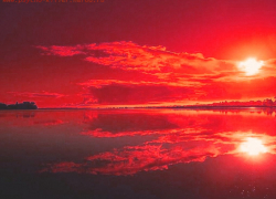 В селе Верхняя Добринка Камышинского района в доме обнаружили труп и "полутруп"