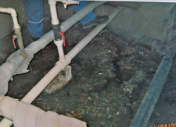 После публикации "Блокнота Камышина" организаторы "канализационной атаки" на жильцов высотки разблокировали продухи и пообещали ремонт подвала