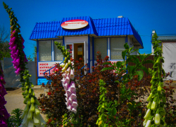 В Камышине 12 июня прогнозируется ясная погода и 5-балльная магнитная буря