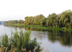 Отчаянный прыжок  ныряльщика с опоры железнодорожного моста перед двумя дамами закончился смертью