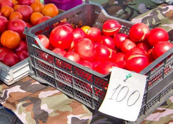 В Камышине взметнулись в цене огурцы и помидоры