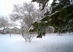 Шесть градусов мороза и легкий снег - перед новым похолоданием: погода в Камышине на 9 февраля