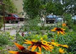 В каких домах в Камышине кроме горячей воды не будет еще и света завтра, 23 июня