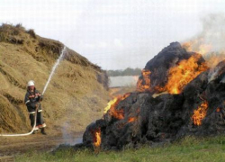 Под Камышином по неосторожности сгорело 100 килограмм соломы