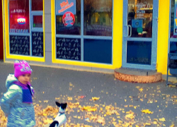 Почему в Камышине воспитатели детсадов работают за дворников? - камышанка