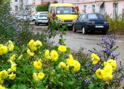 Погодный скачок от теплого шквала до снегопада предстоит пережить камышанам в выходные и на праздник