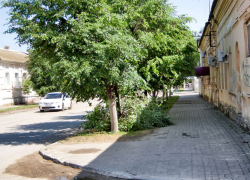 В Камышине из-за утреннего шквала с грозой поломало липу, и не ее одну