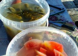 Легкий снег и 7 градусов ниже нуля: погода в Камышине 24 февраля