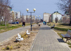 В Камышине энергетики опять отключают горячую воду в пяти многоэтажках пятого микрорайона и детском доме