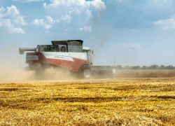 Комбайнер потерял сознание на поле и умер в Еланском районе